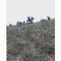 300 Acres of Land for Sale in a Very Good Location