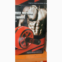 Abdominal Fitness Wheel - Brand New