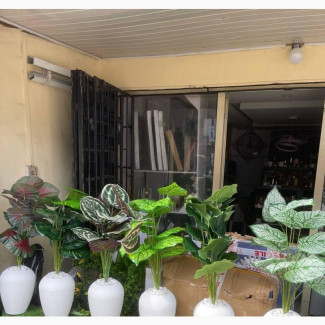 Outdoor/Indoors Decor