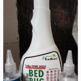 Bedbug Treatment for a Room