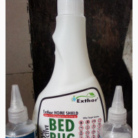 Bedbug Treatment for a Room