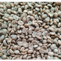 The Vin#039;s Green Arabica Coffee