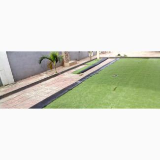 Quality Green Turf Grass