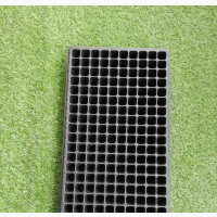 Seed Trays - Perfect for Seedlings