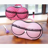 Female Bra Storage