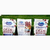 Ocean Spray Craisins Dried Cranberry