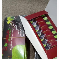 Double Stem Cell for Highbloodpressure