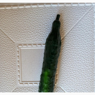 Children Writing Pens