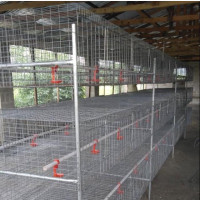Poultry Cages for Sale - Durable and High-Quality
