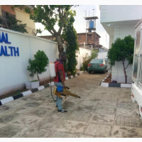 Fumigation Expert Available for All Pest Problems