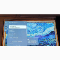 LG 65inch Oled Tv