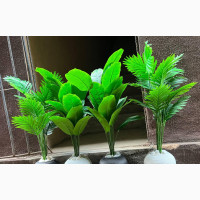 Top Quality Potted Plants