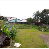 4 Plots of Land at NTA for Sale