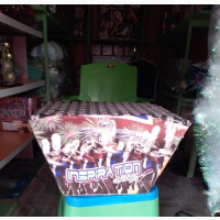 Affordable Fireworks, Christmas Trees, and Christmas Lights