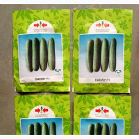 Daewy F1- Cucumber (500 Seeds)