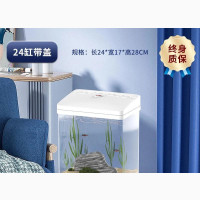 Aquarium with 2 Pet Fishes - Complete Setup