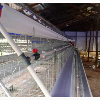 Fabricated Battery Cage - Brand New 96-Bird Capacity