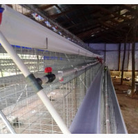 Fabricated Battery Cage - Brand New 96-Bird Capacity