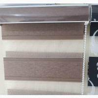 Stylish Day and Night Window Blinds