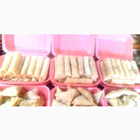 Spring Rolls and Samosa