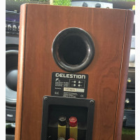Celestine Shieve Speaker