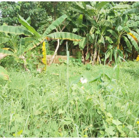 10 Plots in a Very Good Location