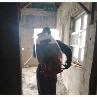 Termite Fumigation Expert