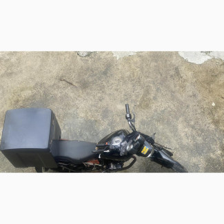 Denstar Lion King 2022 Black Motorcycle