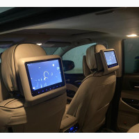 Headrest DVD Screen