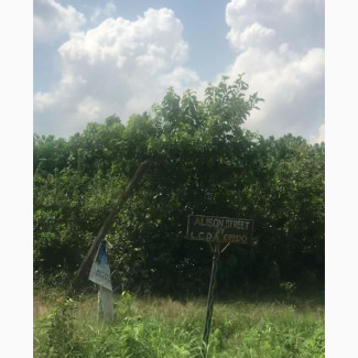 Genuine Plots of Land for Sale in Epe - Affordable and Secure