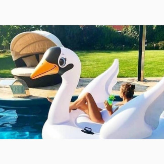 Children#039;s Pool Duckies