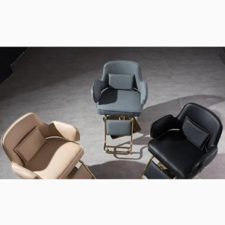 Modern Luxury Saloon Chairs - Brand New