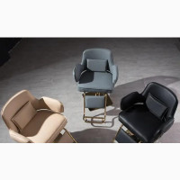Modern Luxury Saloon Chairs - Brand New