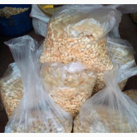 CHIBOY CASHEW NUTS 4kg Roasted Process