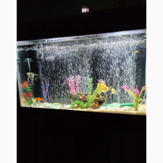Aquarium Glass - Complete Set