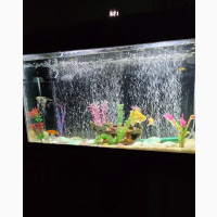 Aquarium Glass - Complete Set