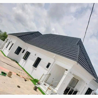 Professional Painting and Screeding Service