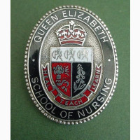 Queen Elizabeth School of Nursing 2025/2026 Application Form Is Out Now Call 08136874877
