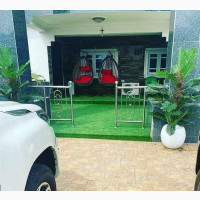 Turkish Astro Turf - High Quality Synthetic Grass for Sale