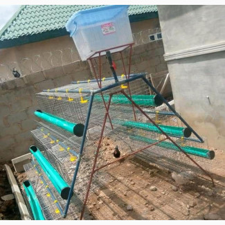 Poultry Equipment for Sale