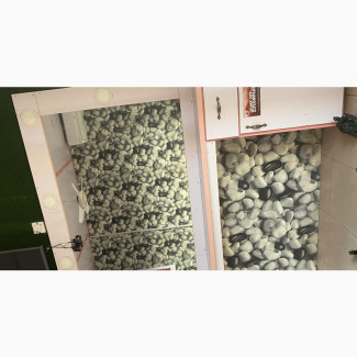 Furniture ( Mirror )