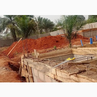 Construction Expert and Structural Engineer