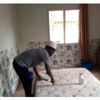 BED FAOM Sterm Cleaning