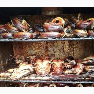Fresh and Dry Catfish for Sale
