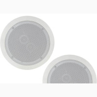 Ceiling Speaker 20w