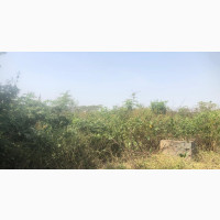 2000sqm Residential Land for Sale
