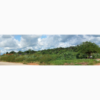 Land Ready for Immediate Use