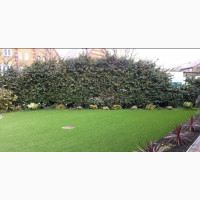 Premium Artificial Grass Turf