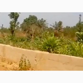 Buy Plot Of Land In Tran Savanna Estate, Enugu East