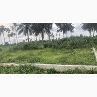 Eneka Plots Open for Sale on Easter Promo Extension